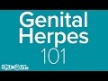 Genital Herpes 101