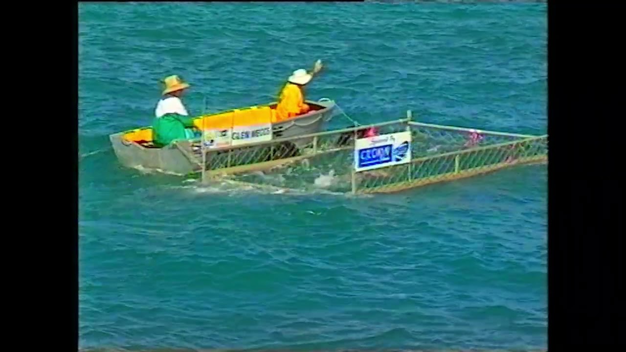 2000 Magnetic Island to Townsville Swim TV News