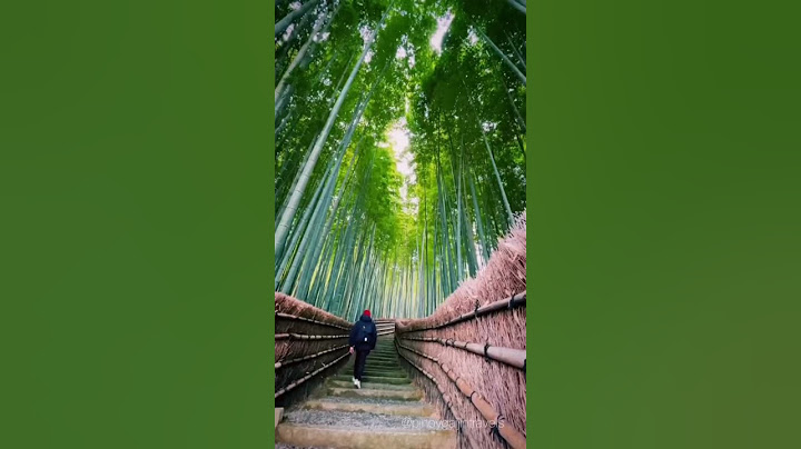 The Most Beautiful Places in Japan 🤩✨🇯🇵 #nature #explore #japan  #explore fyp #relaxing