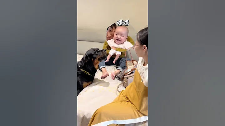 這到底是誰和誰的孩子😂#羅威納護衛犬 #狗狗 #向威和一坨 - 天天要聞