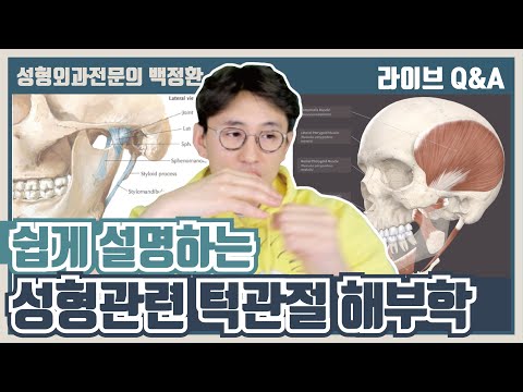 (ENG SUB) 성형외과 전문의가 말하는 턱관절 해부학 [광대수술과 턱관절 #1]
