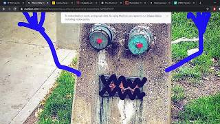 Pareidolia: A sign of a well wired brain and creativity! Facelife theory, something to consider?