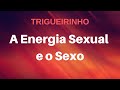 Trigueirinho | A Energia Sexual e o Sexo