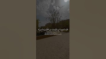 وإذا سألك عبادي عني فإني قريب | #شريف_مصطفى #سورة_البقرة
