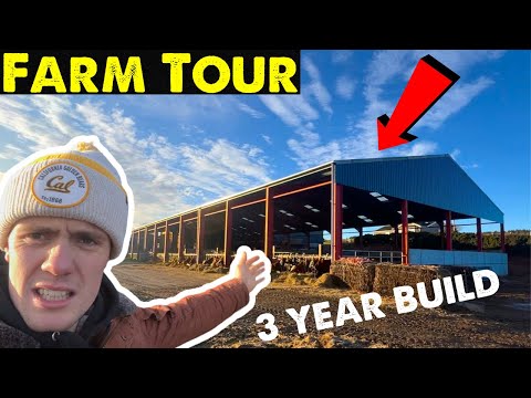 Cattle Shed Visit | Designing Our New Shed