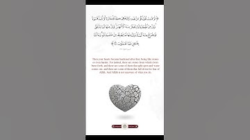 ﴿ثم قست قلوبكم من بعد ذلك﴾ سورة البقرة | ماهر المعيقلي #ماهر_المعيقلي #سورة_البقرة #quran #قرآن