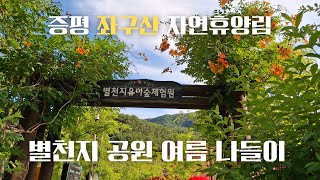 좌구산자연휴양림 영상