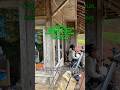 The rural atmosphere in Cianjur, Indonesia, when it rains is truly calming and makes you