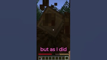 Minecraft but I get Randomly TELEPORTED every 10 seconds...
