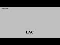 Lithium Americas Corp. (LAC) Stock Analysis | Investment Review: Valuation, SWOT & more