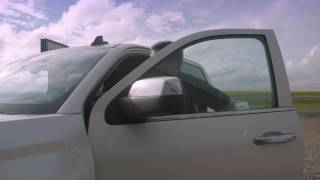SaskTel IBC - Impact Energy testimonial full length