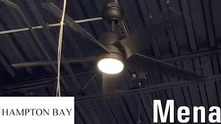 54" Hampton Bay Mena Ceiling Fans