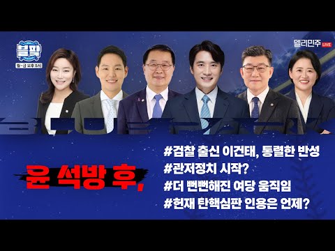 [🔵블팤] 윤석열 석방 후폭풍 혼란 그 잡채🎙김남근, 김한규, 이건태, 박지혜 출연 - 블루파크 2025.3.11