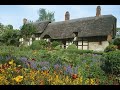 Church bells wood pigeons relaxing bird song ambience