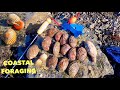 MIXED COASTAL FORAGING DAY , Abalone TACOS ! Razor Clam , Gaper Clam , Spiny Cockles