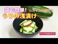 袋で簡単！うりの浅漬け　黒瓜　白瓜　スイカの皮