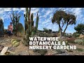 Waterwise Botanicals & Nursery Gardens Tour (Cactus and Succulents)