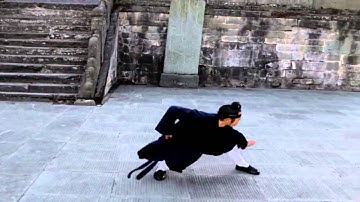 Wu Dang Tai Yi Wu Xing Quan 武当武术 武当太乙五行拳 Xu Wei Han 许微含