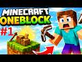 Starting Fresh With Just 1 BLOCK In Minecraft 😱🔥!