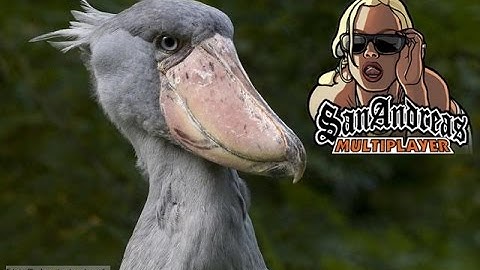 SAMP Shoebill: Setup a server (Windows)