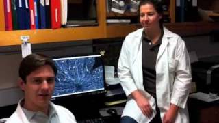 Solving the Mysteries of the Nervous System with Genetically Engineered Mice