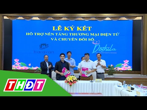 Video Đồng Tháp: Thúc đẩy ứng dụng thương mại điện tử sau... - youtube