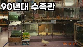 연매출 80억 수족관의 비밀 생존전략 5가지(90년대 스타일)- 김포 상아쿠아 해부해보기