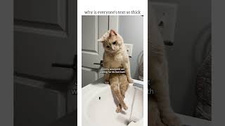 OMG he is so precious! here's my paralyzed baby