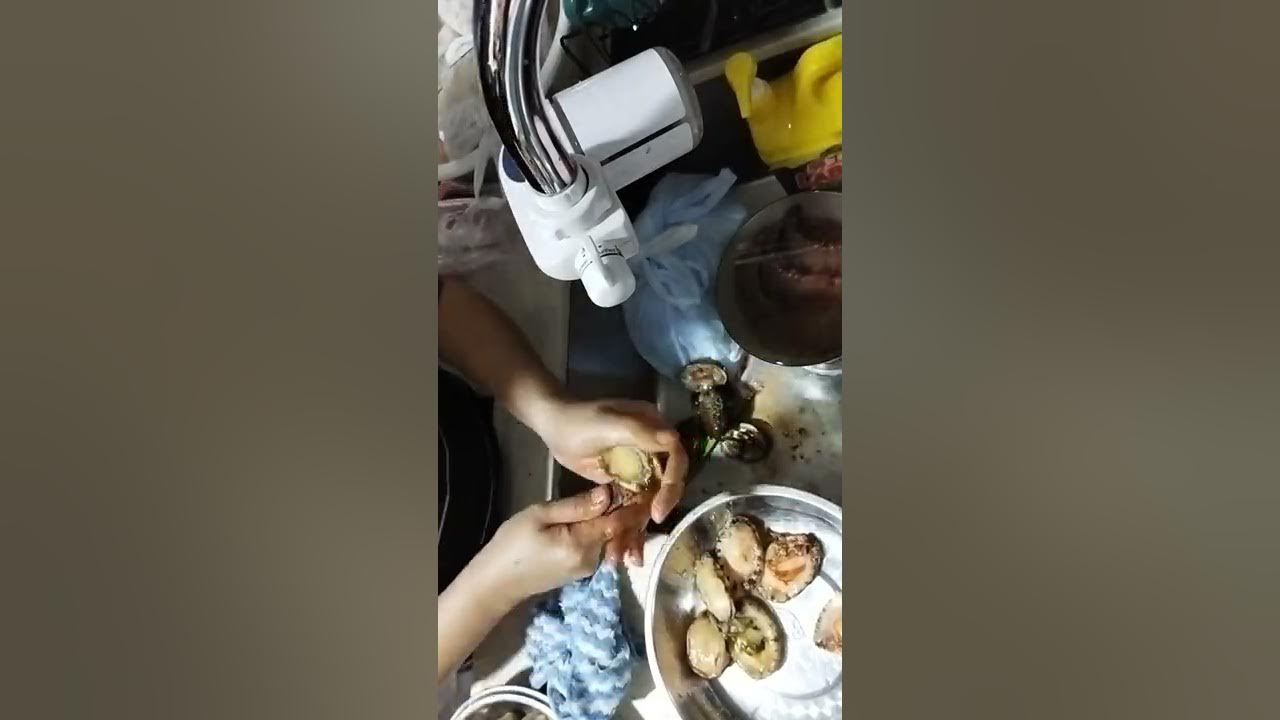 ABALONE sea shell how to clean abalone abaloneshell YouTube