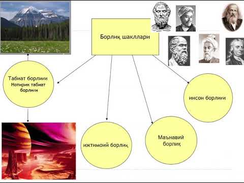 Video: Ontologiya almalıyam?