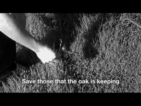 Poem Analysis: Into Thin Air Poem Analysis: Into Thin Air