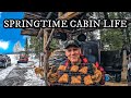 Spring cabin madness projects food preservation exotic cookup snowstorm huge bluetti giveaway