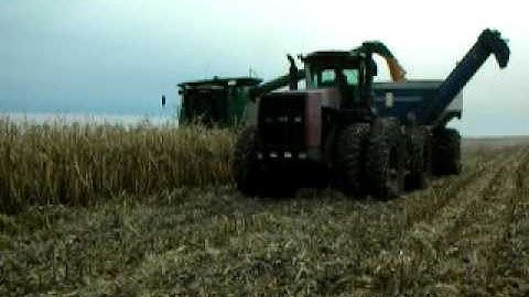 Combine corn.MOV
