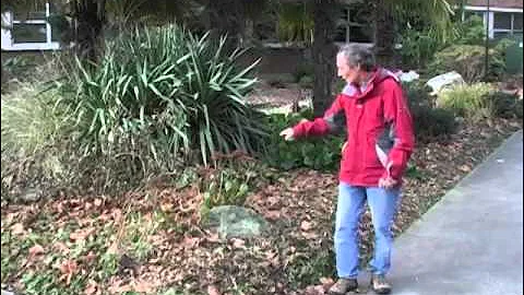 Sustainable Landscapes: More Landscape Design