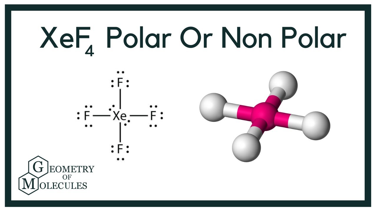 polar or nonpolar XEF4, XEF4 polar or nonpolar, polarity, polar...