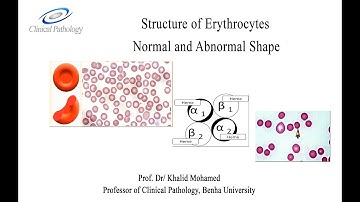 Vet Hematology Lecture 2, 1 Erythrocytes morphology: Arabic tutorial