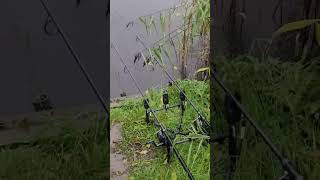 Stickney brick pit social in coming 🎣🎣 #fishing #rain #goaway