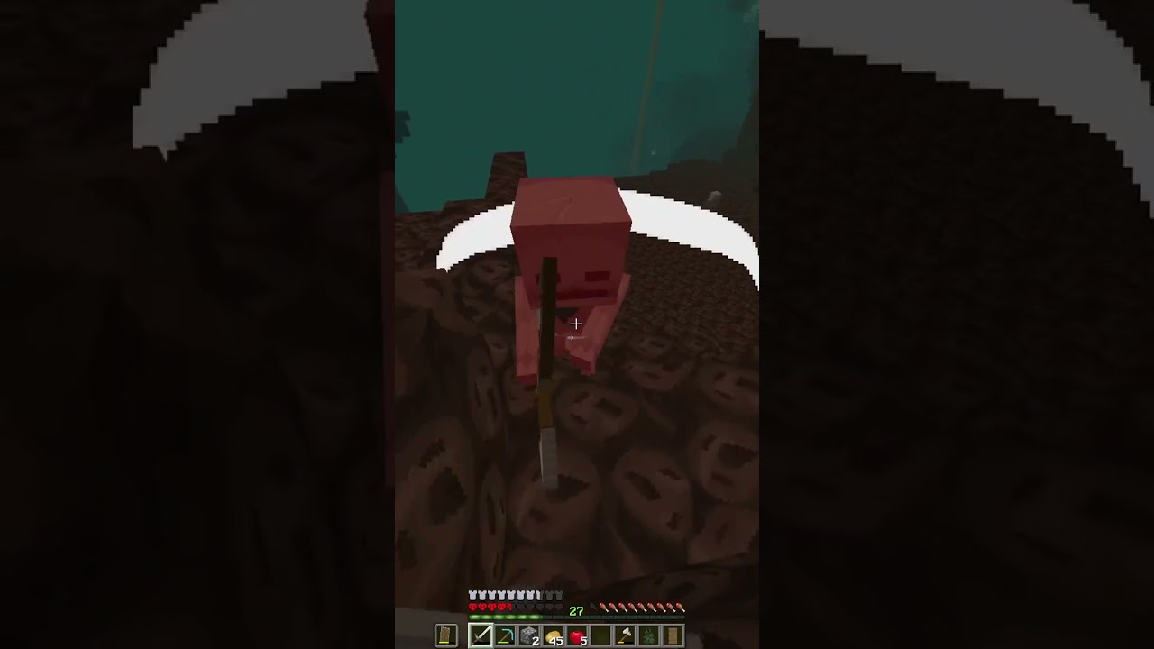 Unexpected Guests in the Nether! 