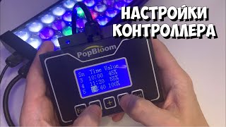 :    PopBloom |   