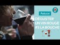Comment déguster un vin rouge #3 : la bouche | Les astuces du Petit Ballon