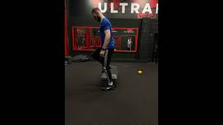 Single Leg Step Down