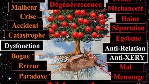 Univers TOTAL le Nouveau Paradigme #4: la Négation, le Problème fondamental