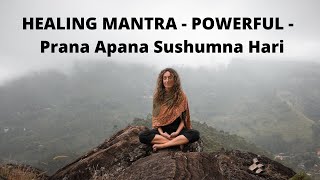 Video thumbnail of "MAGICAL HEALING MANTRA - Prana Apana Sushumna Hari Meditation"
