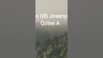 Harka Ofiitiin Soqee Tola Erra Barbaadu 