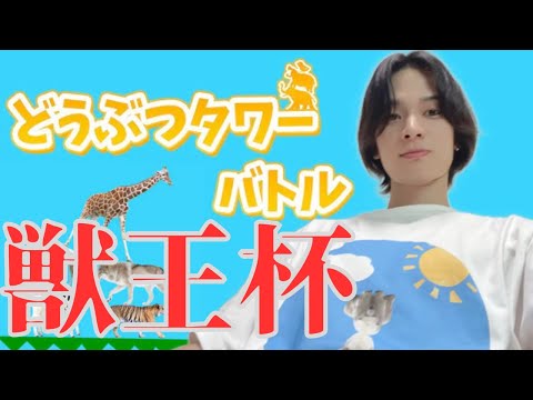 【どうタワ】大会でるぞ!!獣王杯【どうぶつタワーバトル】