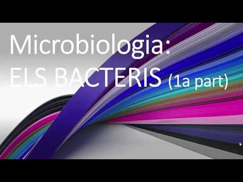 Vídeo: Com Van Evolucionar Els Bacteris?