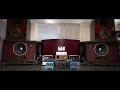 Brian Bromberg - Shag Carpet チタンダストキャップ&純銀コイル搭載ローズウッド突板仕様のローズ Pure Silver Coil Rosewood JBL Rhodes