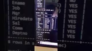 E-Class 2 - Chapter 7 IP | MySQL Revision Tour | Class 12 St. Mary's Convent