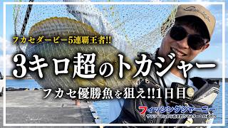 [Remote Island Expedition] 5-Time Champion Goes All Out to Catch a 3kg+ Tokajer | Float Fishing D... screenshot 1