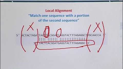 Topic 28 (BIF401 - Bioinformatics I)